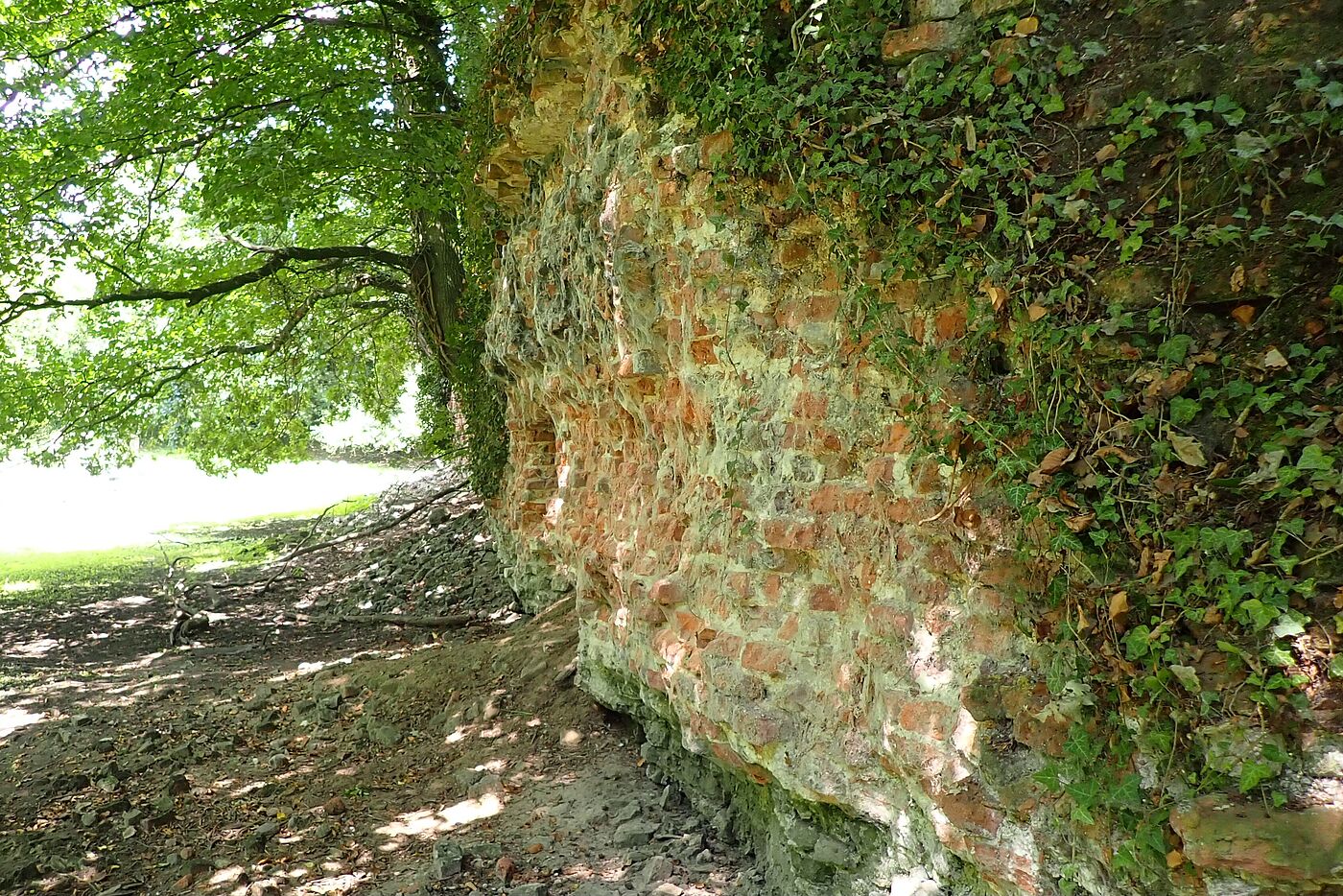 Ruine Rauschenburg