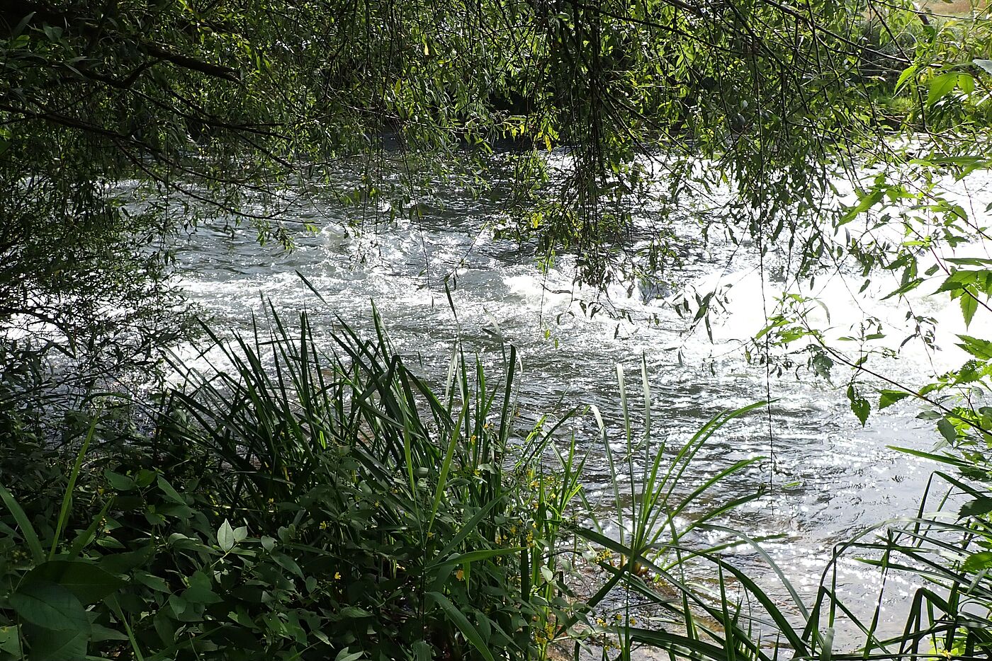 an der Lippe