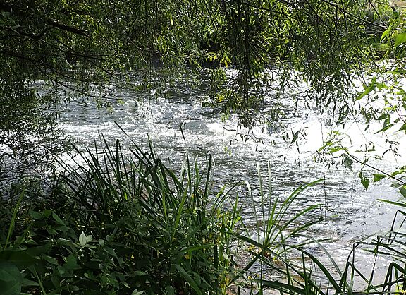 an der Lippe