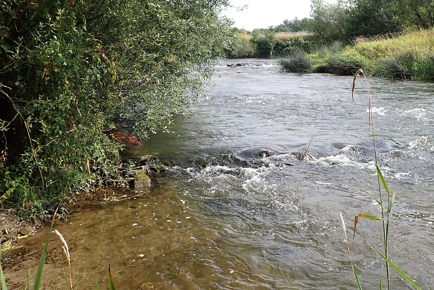 an der Lippe