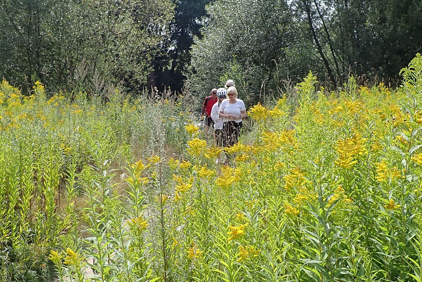 an der Lippe